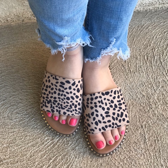 CHEETAH SLIDES - Picture 5 of 7